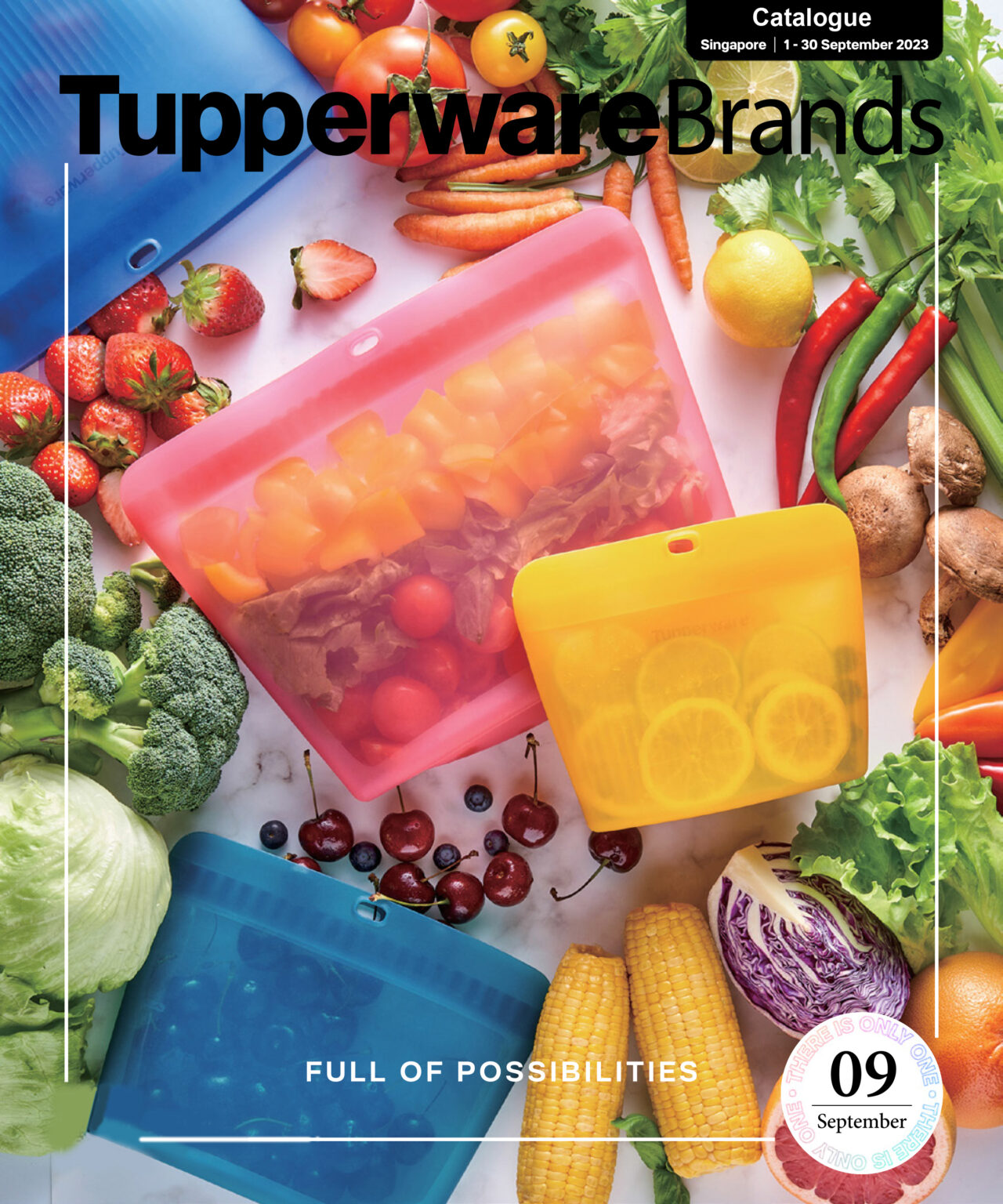 Tupperware Singapore Catalogue September 2023 Tupperware Brands Singapore